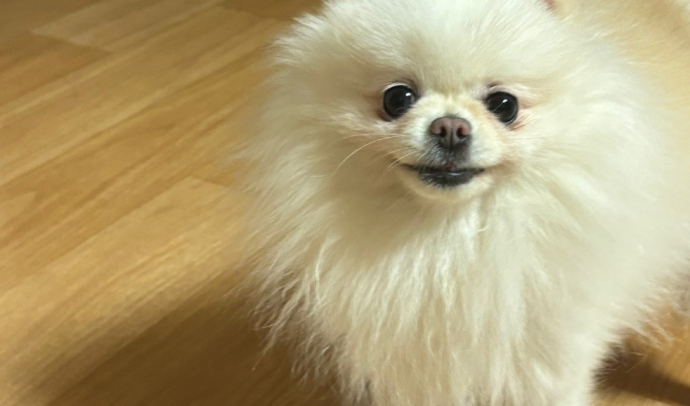 테스트 구름 image