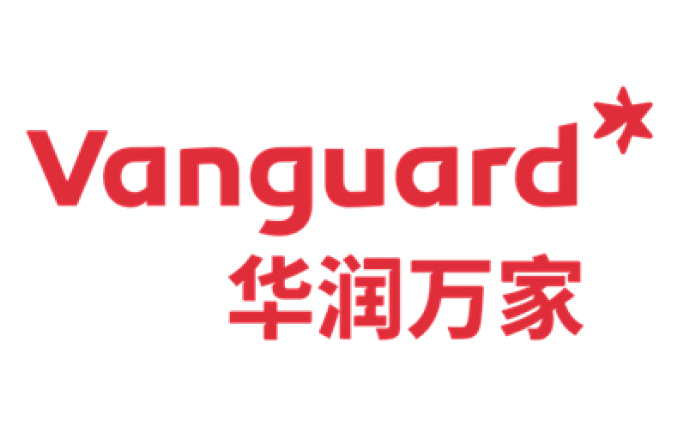 Vanguard brand image