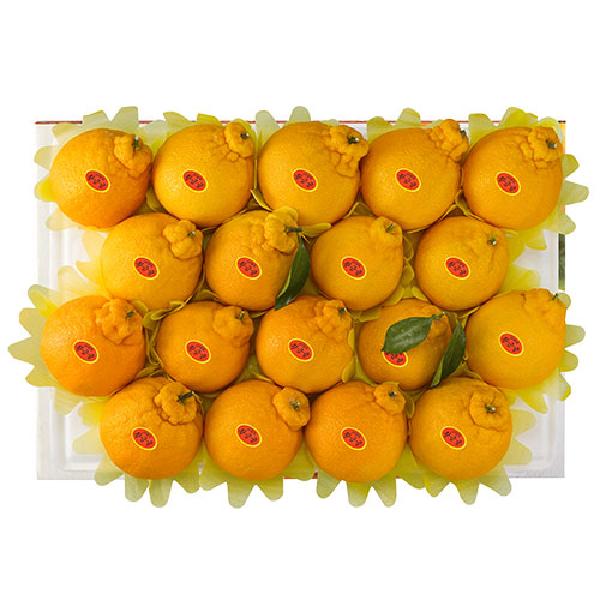 Hallabong Set product image