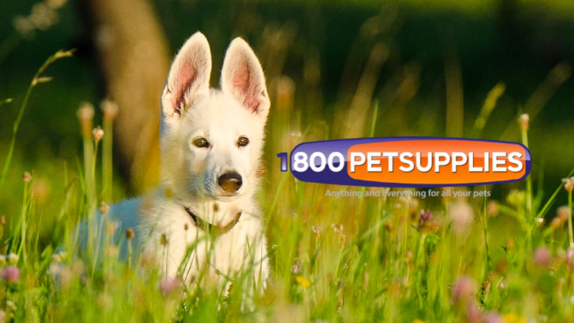 1-800-PetSupplies brand image