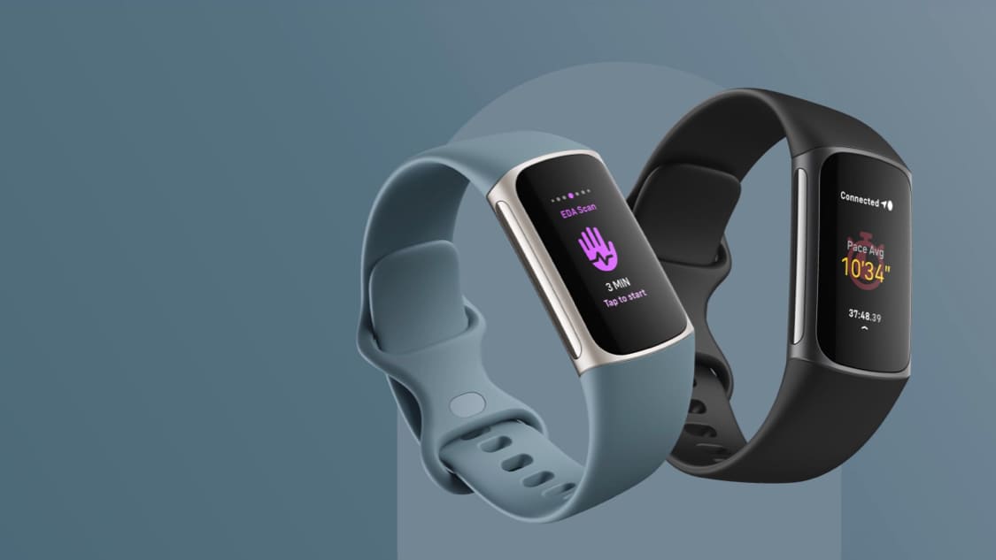 Fitbit powered by InVite Fitness brand image