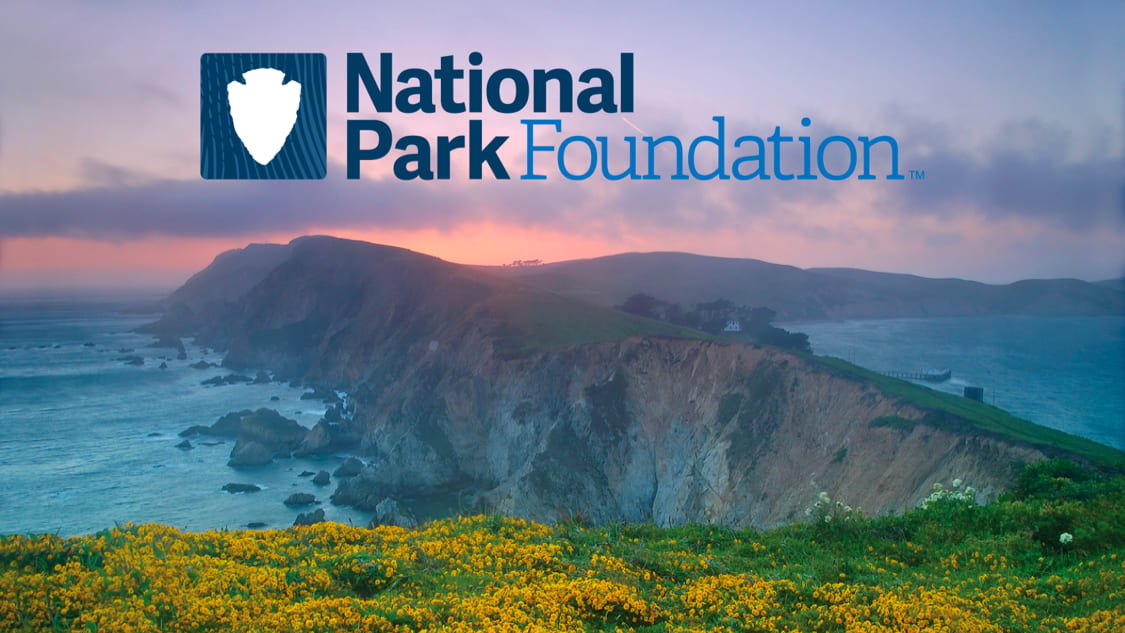 National Park Foundation brand image