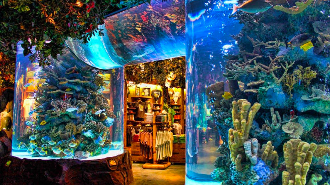 Rainforest Cafe brand image