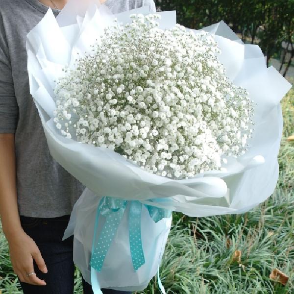 BABY'S BREATH product image