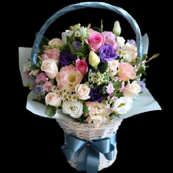 Ocean World product image