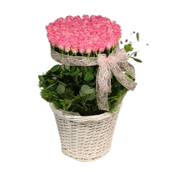 Charming Pink product image