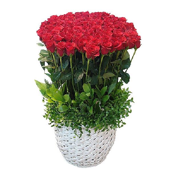Rose Elegance product image