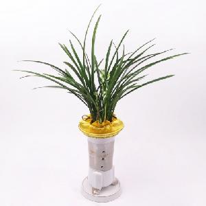 Luxurious Plant product image