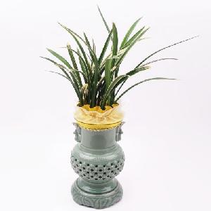 Golden Rainbow product image