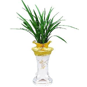 Oriental Orchid product image