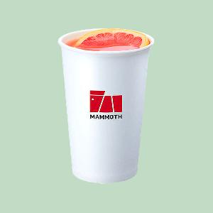 Grapefruit Tea (M) product image