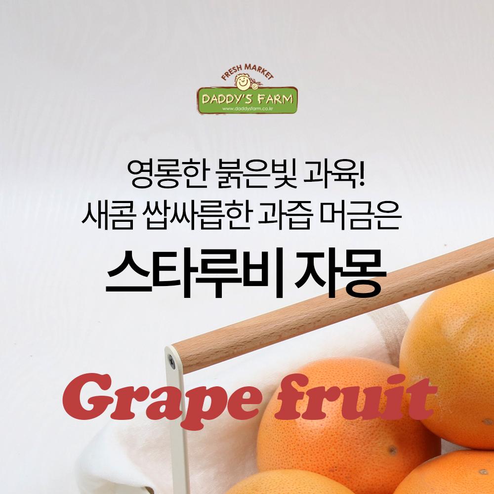 Grapefruit Gift Set approx. 2.2kg [5~7 pieces] In South Korea