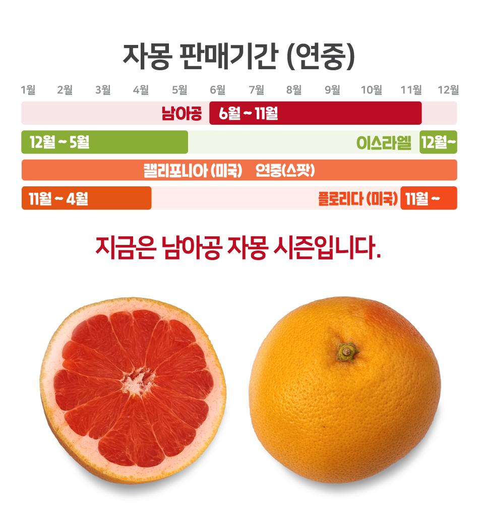 Grapefruit Gift Set approx. 2.2kg [5~7 pieces] In South Korea