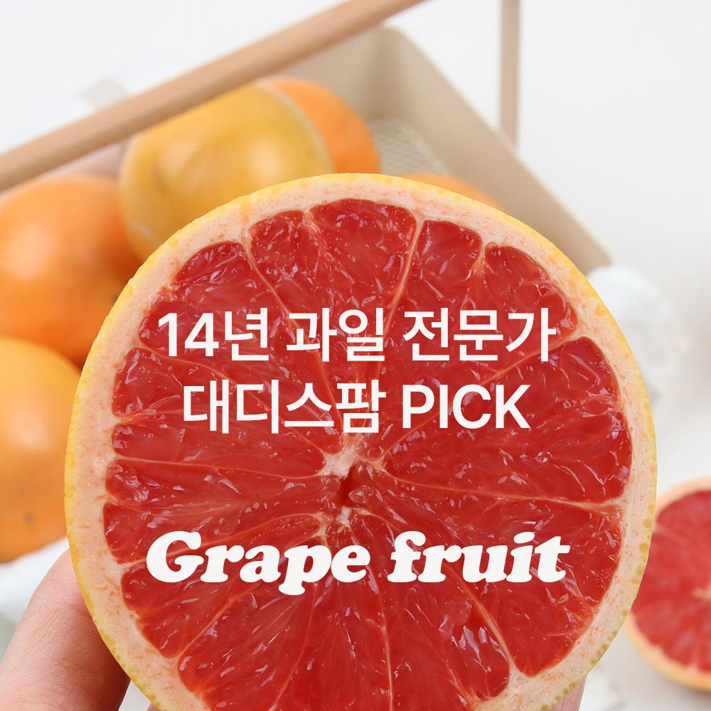 Grapefruit Gift Set approx. 2.2kg [5~7 pieces] In South Korea