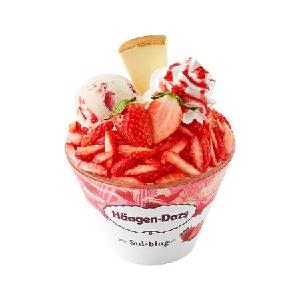 Häagen-Dazs Strawberry Sulbing product image