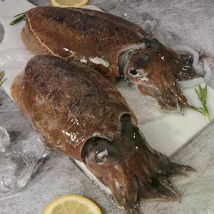 Tae-an Fresh Frozen Squid 1kg 3 Packs product image