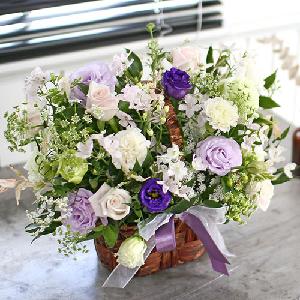 Violet Breeze product image