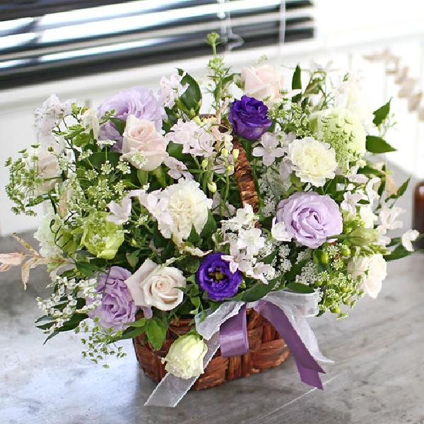 Violet Breeze product image