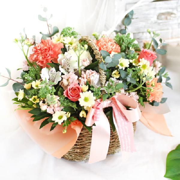 Still Alice product image