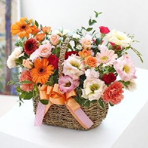 Apricot product image