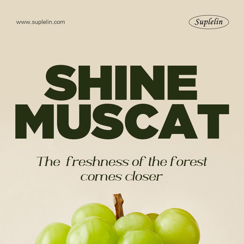 韓国スプリンシャキッと甘い 種なしシャインマスカット 2kg (2〜3房