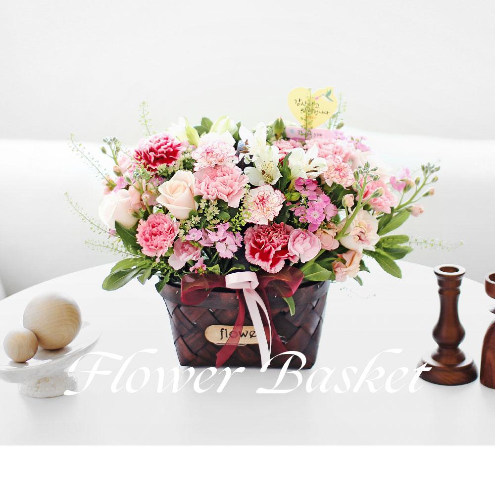 korean parents day flower