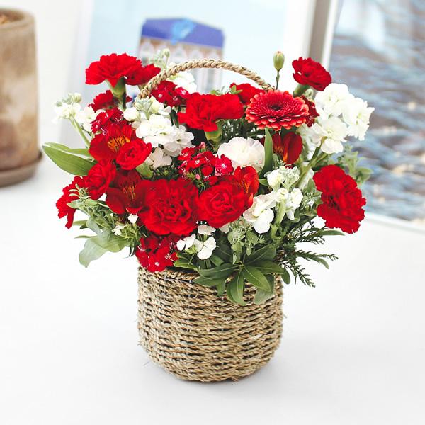 korean parents day flower