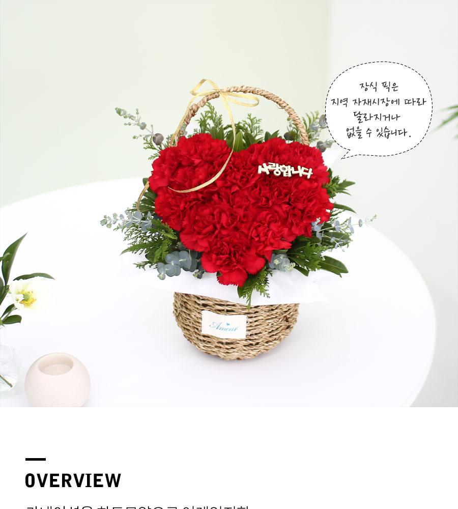 korean parents day flower