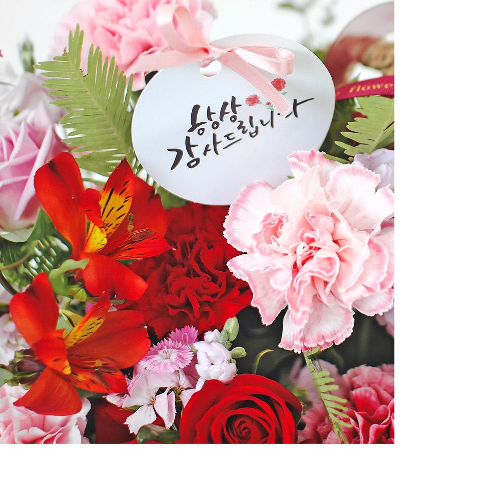 korean parents day flower