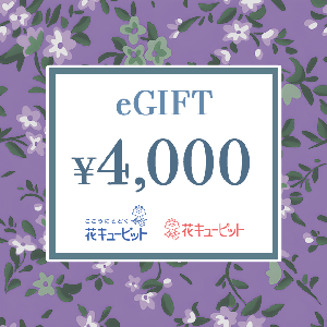 【Memorial】Nationwide Common Flower and Greenery Gift Card 4,000 yen product image