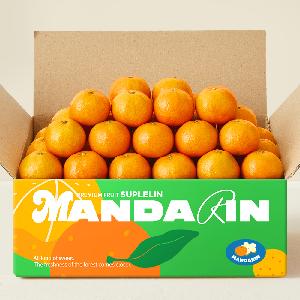 Fresh Jeju Tangerines 4.5kg (Extra Large/3L-4L) product image