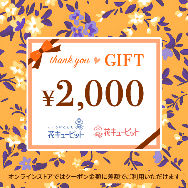 日本花キューピット全国共通 花とみどりのeチケット 2,000円 | ソーダギフト