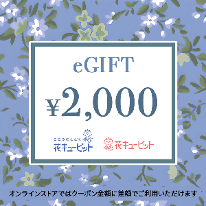 【Memorial】Nationwide Common Flower and Greenery Gift Card 2,000 yen product image