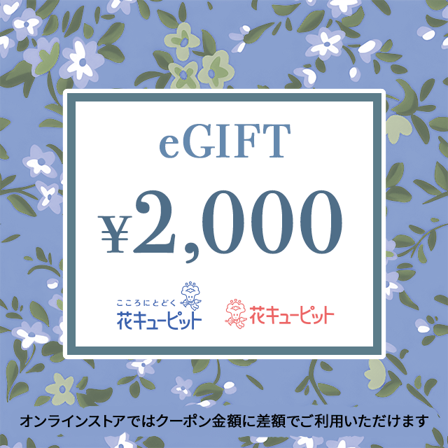 日本花キューピット【お供え】全国共通 花とみどりのeチケット 2,000円 | ソーダギフト