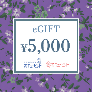 【Memorial】Nationwide Common Flower and Greenery Gift Card 5,000 yen product image