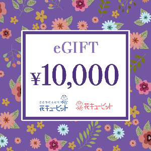 【Memorial】Nationwide Common Flower and Greenery Gift Card 10,000 yen product image