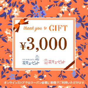 Nationwide Common Flower and Greenery Gift Card 3,000 yen product image