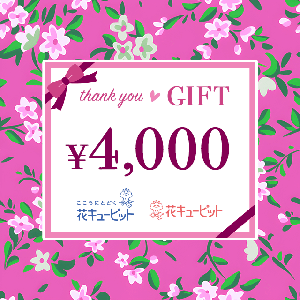 Nationwide Common Flower and Greenery Gift Card 4,000 yen product image