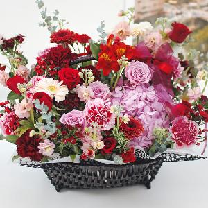 Red Stella product image