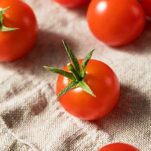 Fresh and Healthy Direct-From-Farm Cherry Tomatoes 2kg product image