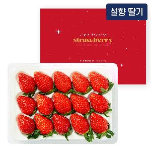 대체불가 겨울과일 유명산지 설향 딸기 400g (15과) item image