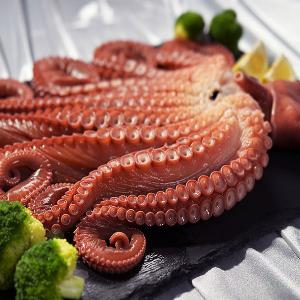 海の皇帝 タコギフトセット（1.8kg） item image