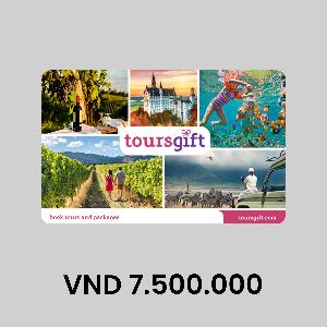 ToursGift VND7500000 GiftCard product image