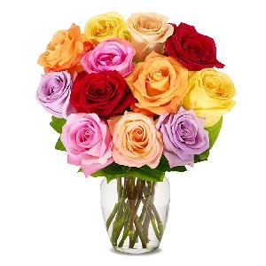 Rainbow Love Bloom product image