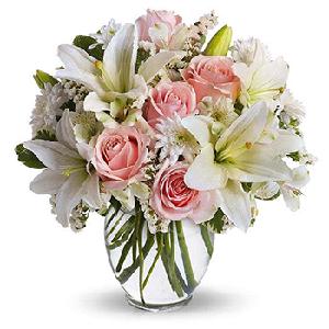 Elegant Display product image