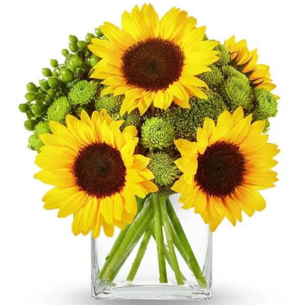 A Touch Of Sunshine product image
