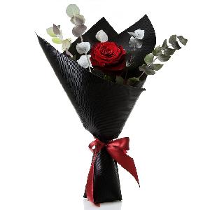 Single Stem Red Rose Arrangement product image