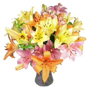 Loved in Lily Bouquet product image