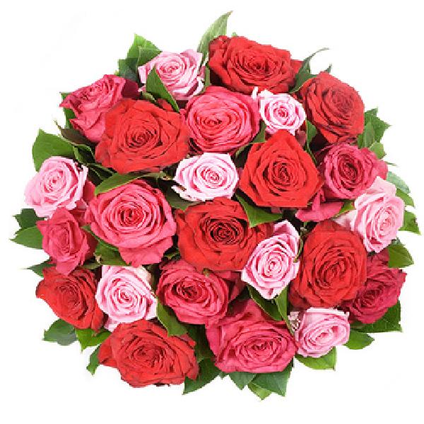 Passion Burst item image