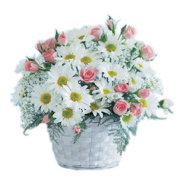 Pure Blooms Flower Basket product image